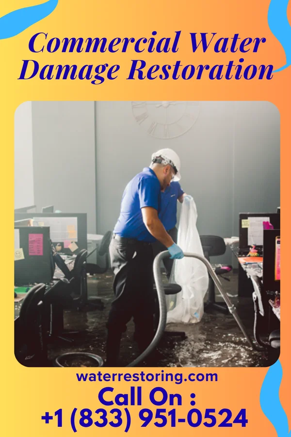 Commercial Water Damage Restoration in Belt, MT