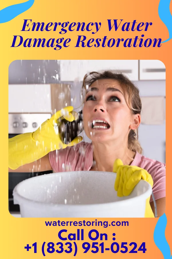 Emergency Water Damage Restoration in Belt, MT